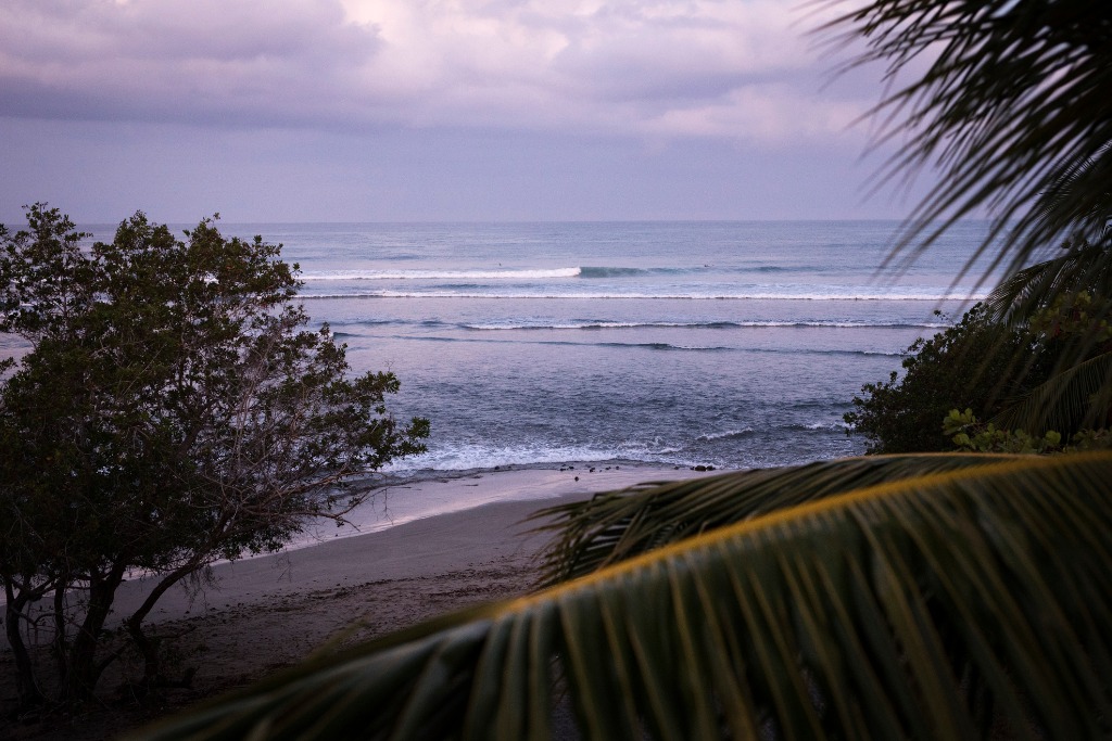 La Saladita surf at sunrise from behind the palm trees